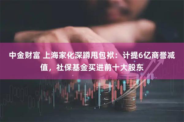 中金财富 上海家化深蹲甩包袱：计提6亿商誉减值，社保基金买进前十大股东