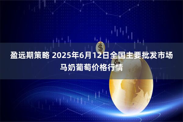 盈远期策略 2025年6月12日全国主要批发市场马奶葡萄价格行情