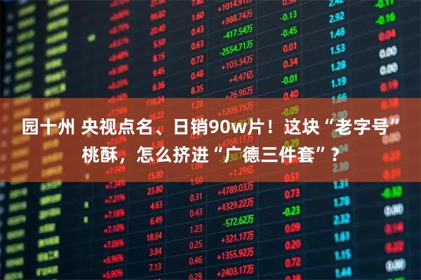 园十州 央视点名、日销90w片！这块“老字号”桃酥，怎么挤进“广德三件套”？