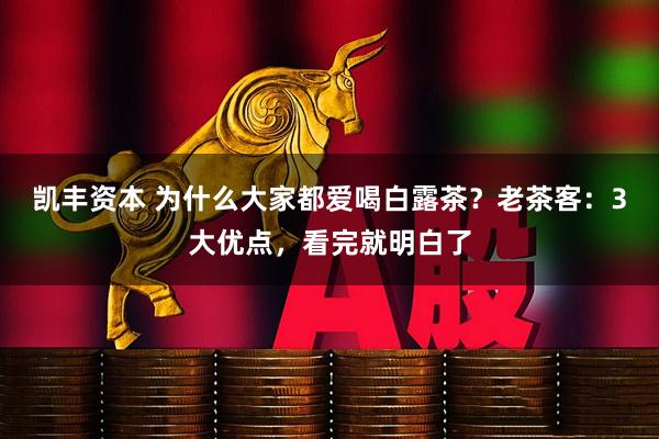 凯丰资本 为什么大家都爱喝白露茶？老茶客：3大优点，看完就明白了